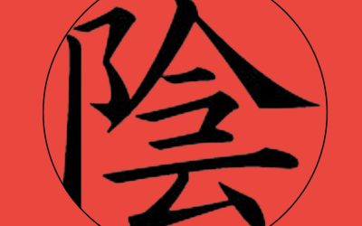 SUNSU: The King of Isshinryu Kata