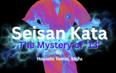 Seisan Kata: The Mystery of 13